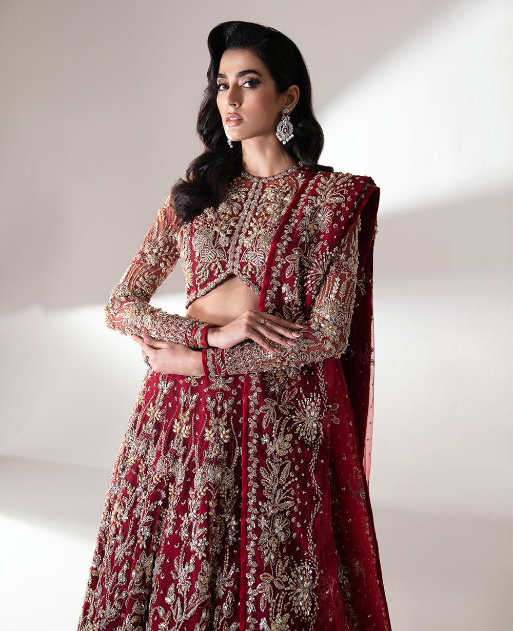Pakistani Deep Red Embroidered Net Lehenga Choli (3-Piece) - Image 6