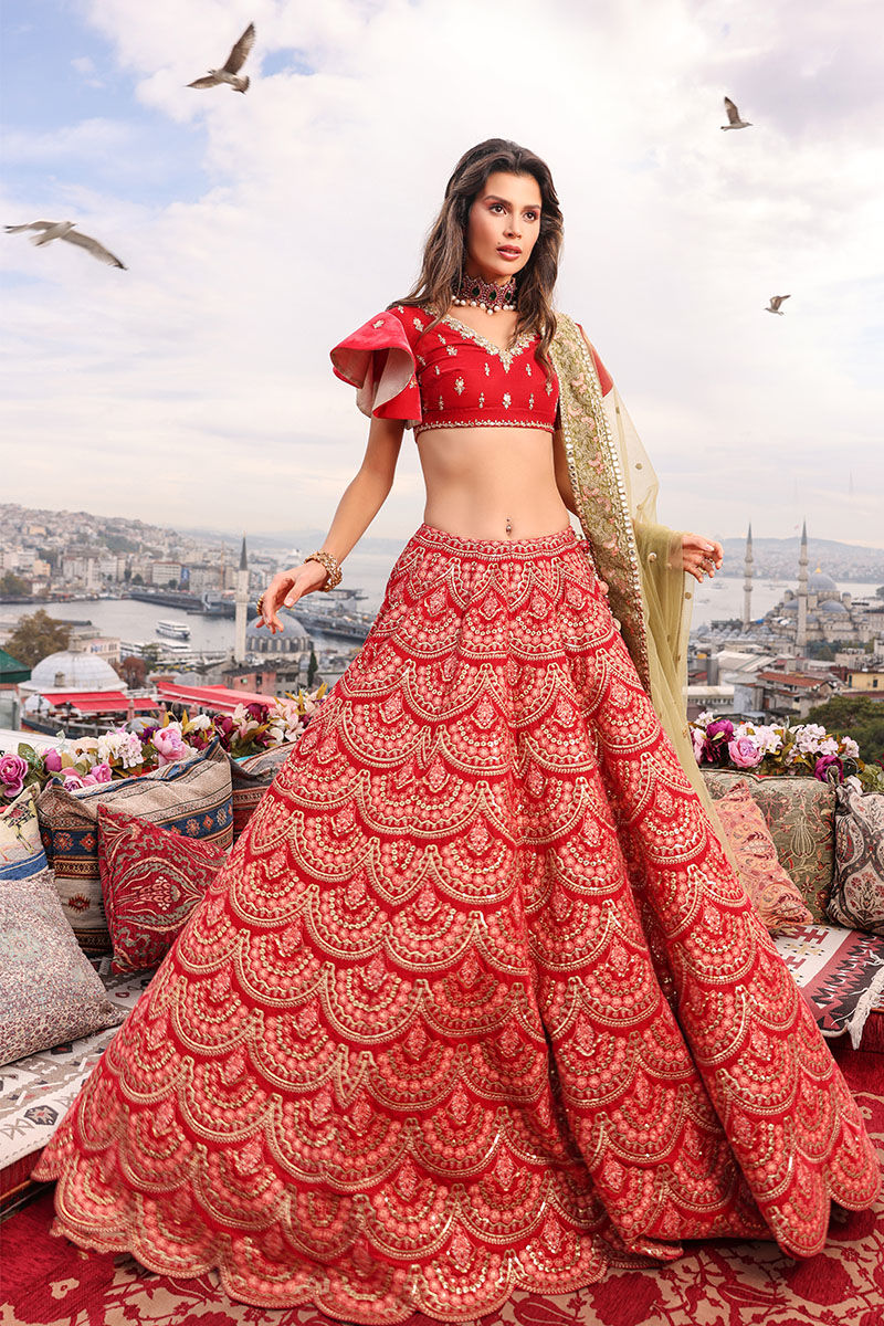 Crimson Red Embroidered Net Lehenga Choli (3-Piece) - Image 1