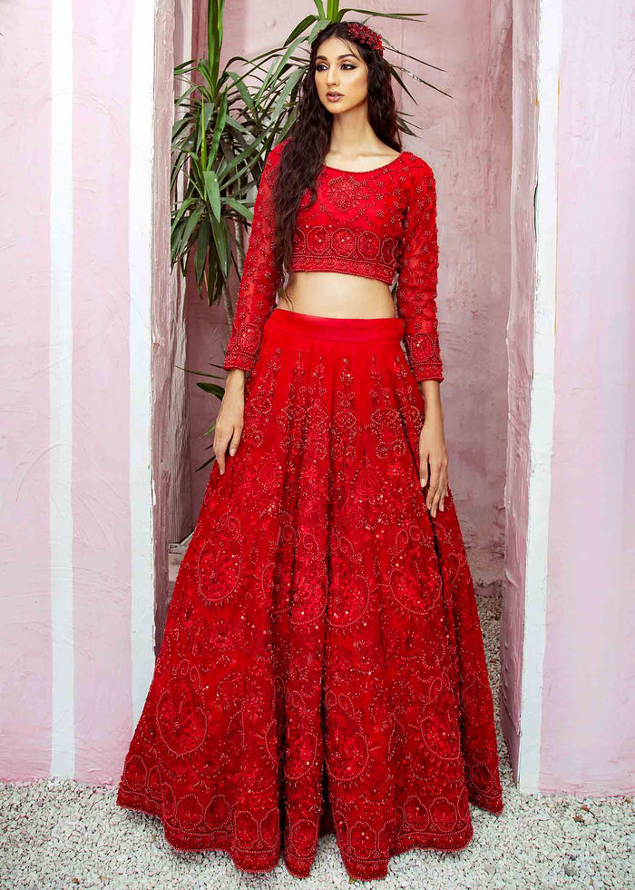Pakistani Red Hand-Embellished Net Lehenga Set (3-Piece) - Image 1