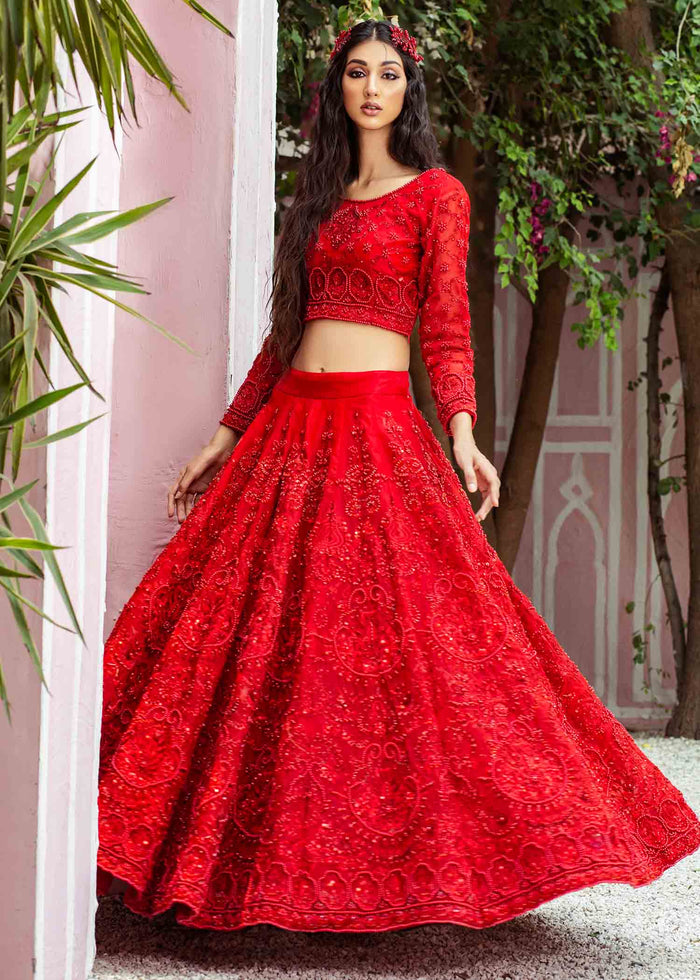 Pakistani Red Hand-Embellished Net Lehenga Set (3-Piece) - Image 2