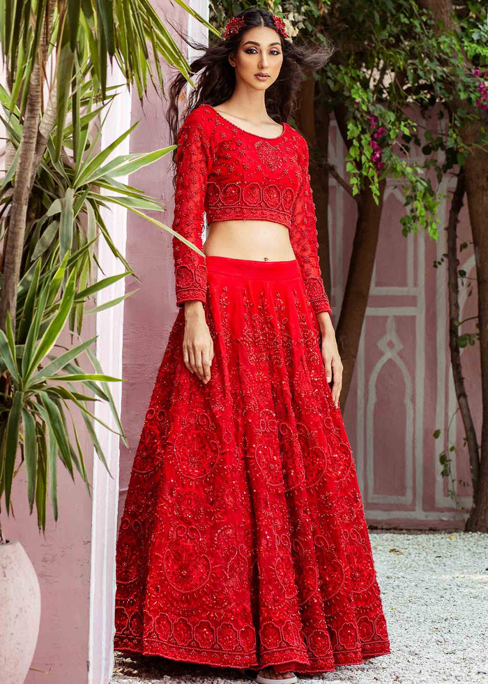 Pakistani Red Hand-Embellished Net Lehenga Set (3-Piece) - Image 3