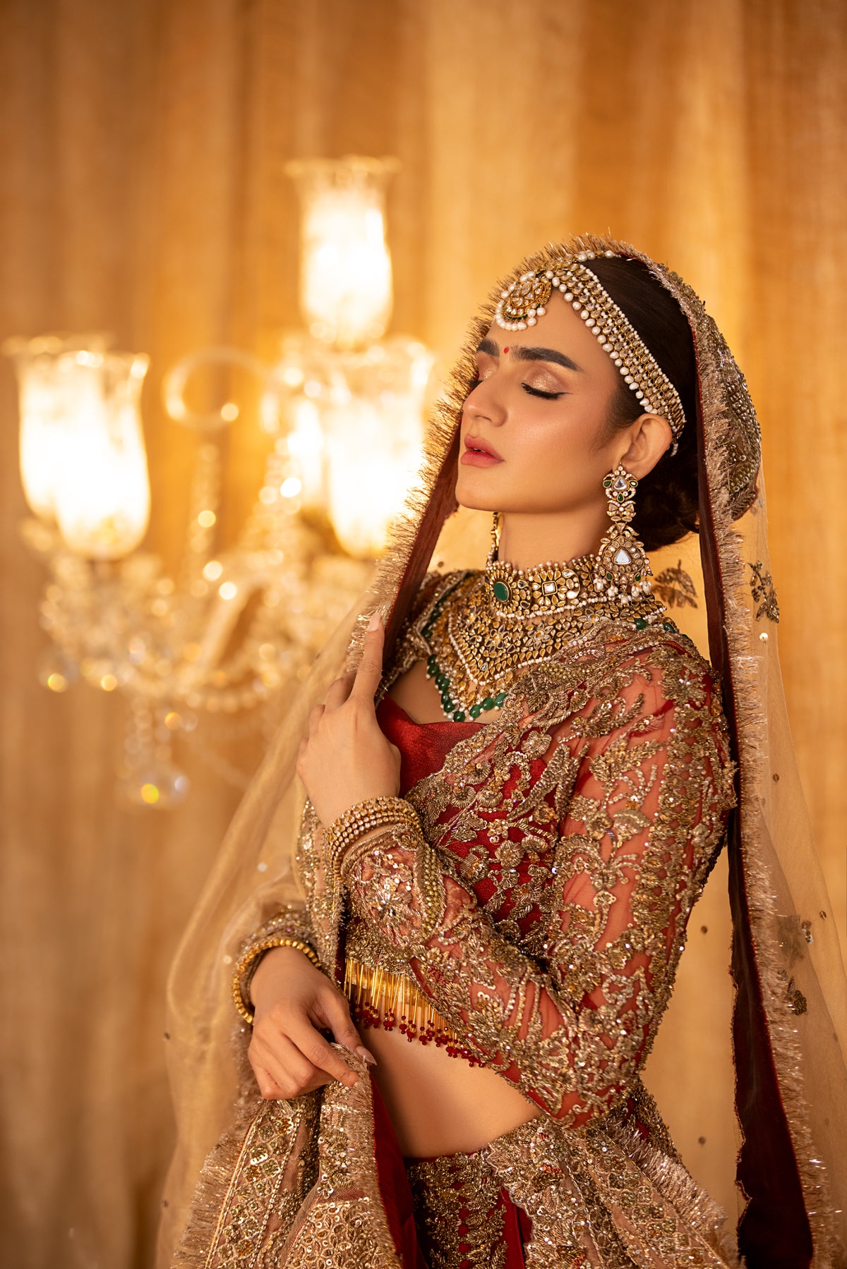 Deep Red Embroidered Net & Tissue Bridal Lehenga (3-Piece) - Image 7