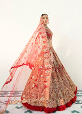 Red Zardozi Embroidered Net Lehenga Choli (3-Piece) - Image 6