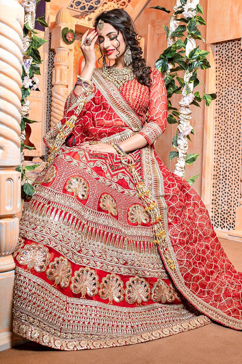 Red Ari Adda Embroidered Organza Lehnga Choli (3-Piece) - Image 2