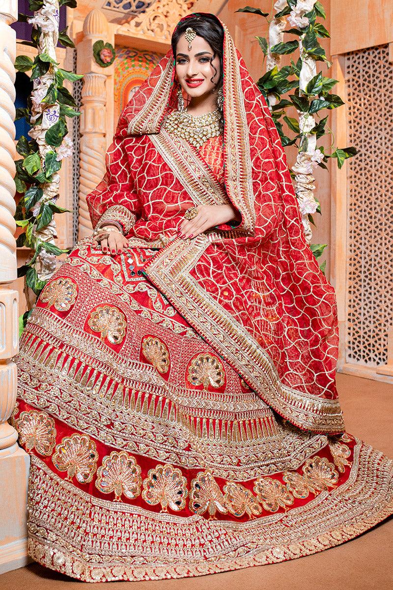 Red Ari Adda Embroidered Organza Lehnga Choli (3-Piece) - Image 3