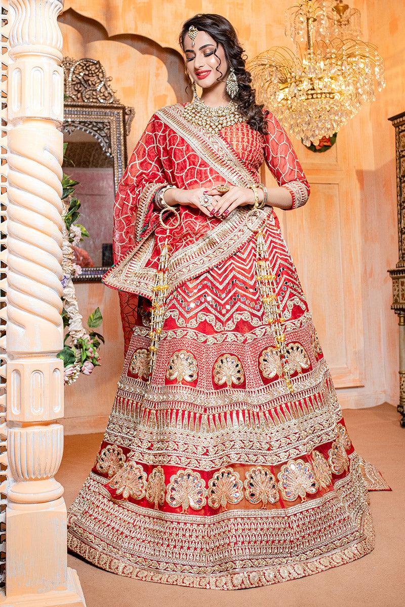 Red Ari Adda Embroidered Organza Lehnga Choli (3-Piece) - Image 4