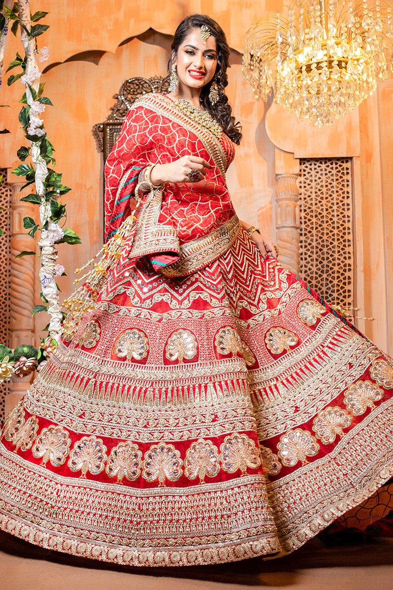 Red Ari Adda Embroidered Organza Lehnga Choli (3-Piece) - Image 5