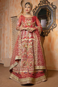 Pakistani Red Embroidered Organza Bridal Gown (3-Piece) - Image 3