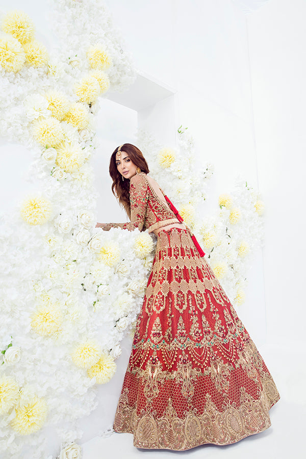 Pakistani Red Embellished Organza Lehenga Set (3-Piece) - Image 4