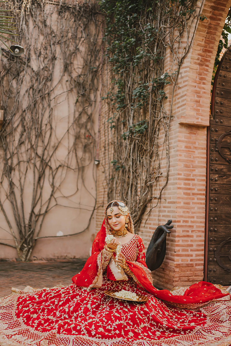 Pakistani Red Gold Embroidered Pure Organza Lehnga Choli (3-Piece) - Image 4