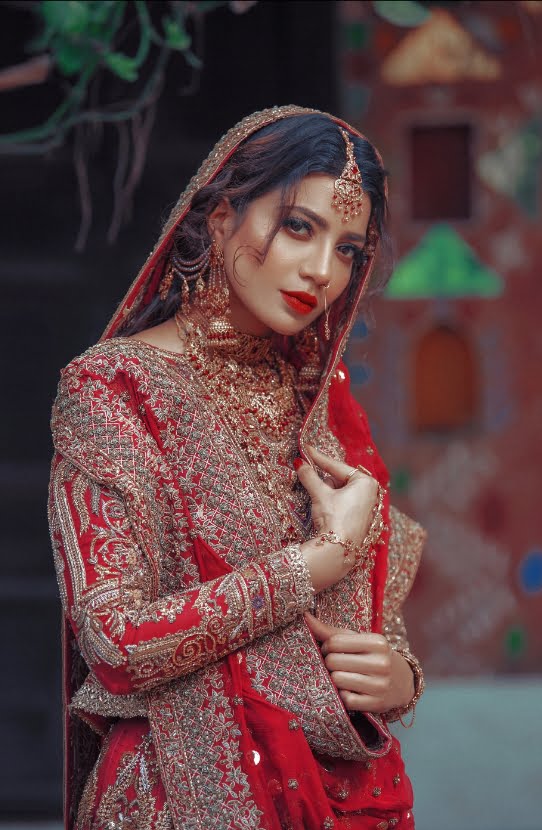 Pakistani Red Zardozi Embroidered Organza Lehenga Choli (3-Piece) - Image 1