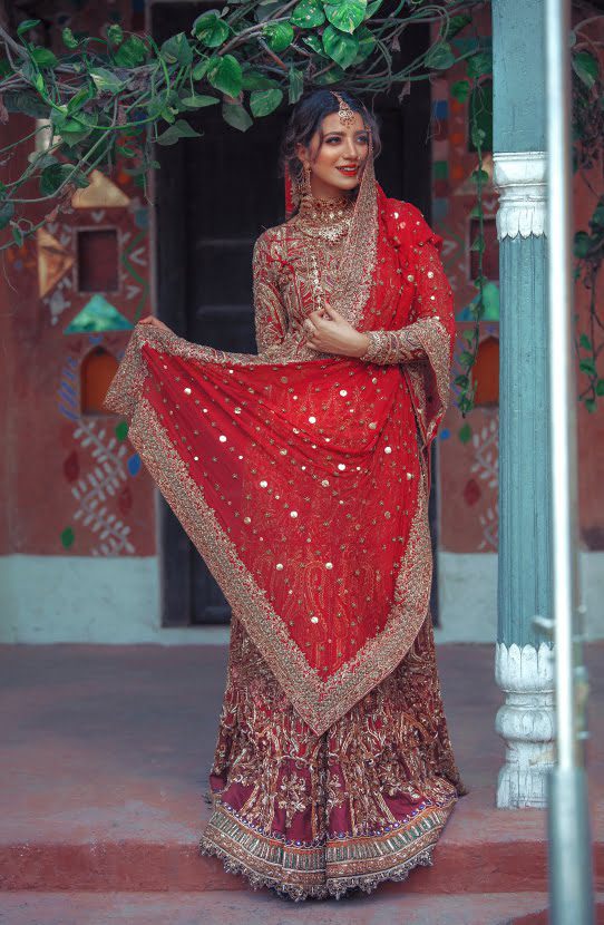Pakistani Red Zardozi Embroidered Organza Lehenga Choli (3-Piece) - Image 3