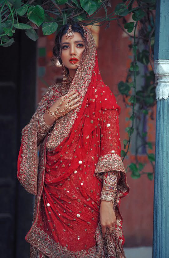 Pakistani Red Zardozi Embroidered Organza Lehenga Choli (3-Piece) - Image 5