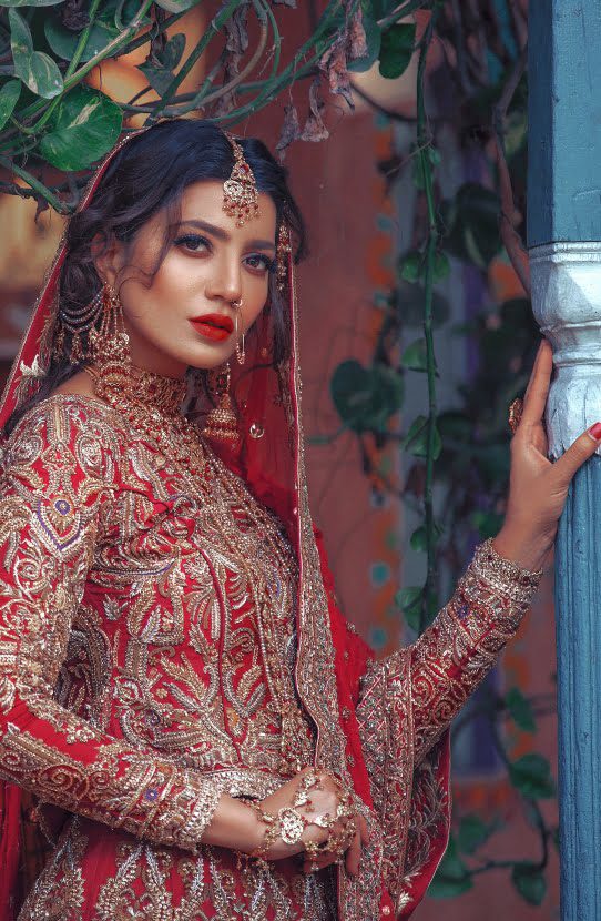 Pakistani Red Zardozi Embroidered Organza Lehenga Choli (3-Piece) - Image 6