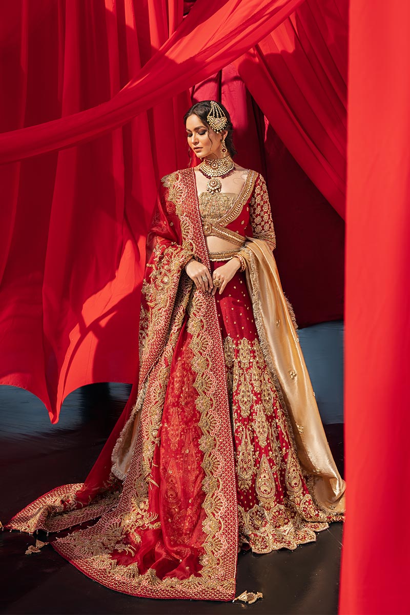 Pakistani Red Zardozi Organza & Tissue Lehenga (3-Piece) - Image 1