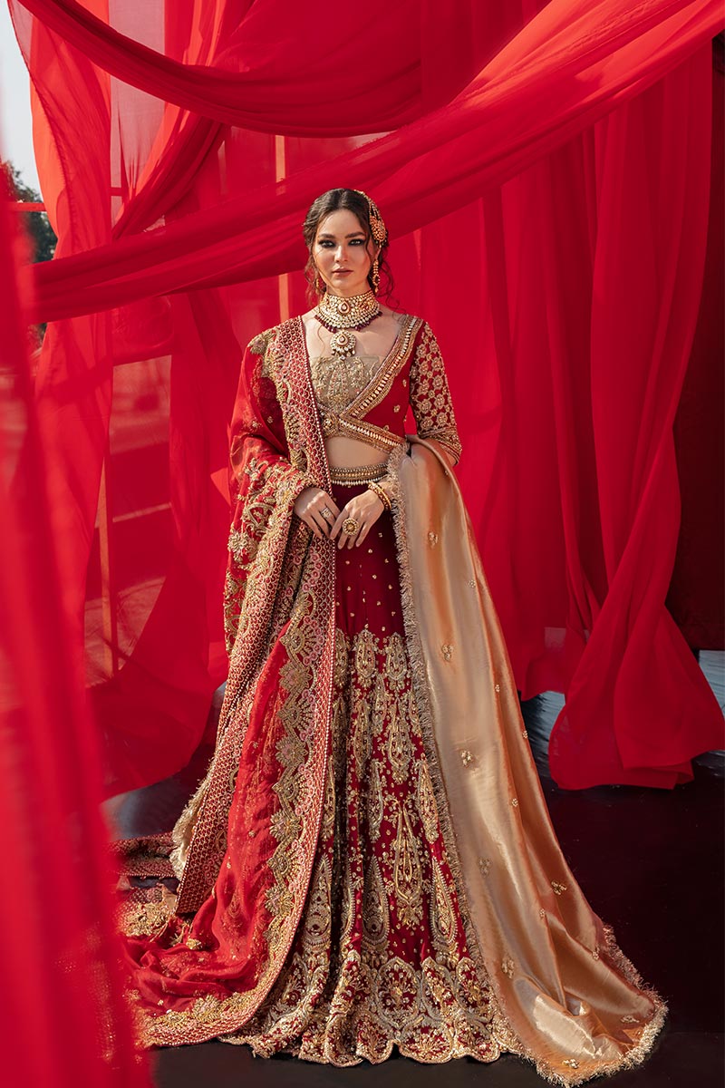 Pakistani Red Zardozi Organza & Tissue Lehenga (3-Piece) - Image 3