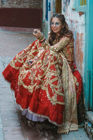 Pakistani Coral & Crimson Embroidered Organza Lehenga (3-Piece) - Image 5