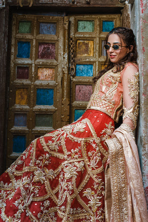 Pakistani Coral & Crimson Embroidered Organza Lehenga (3-Piece) - Image 8