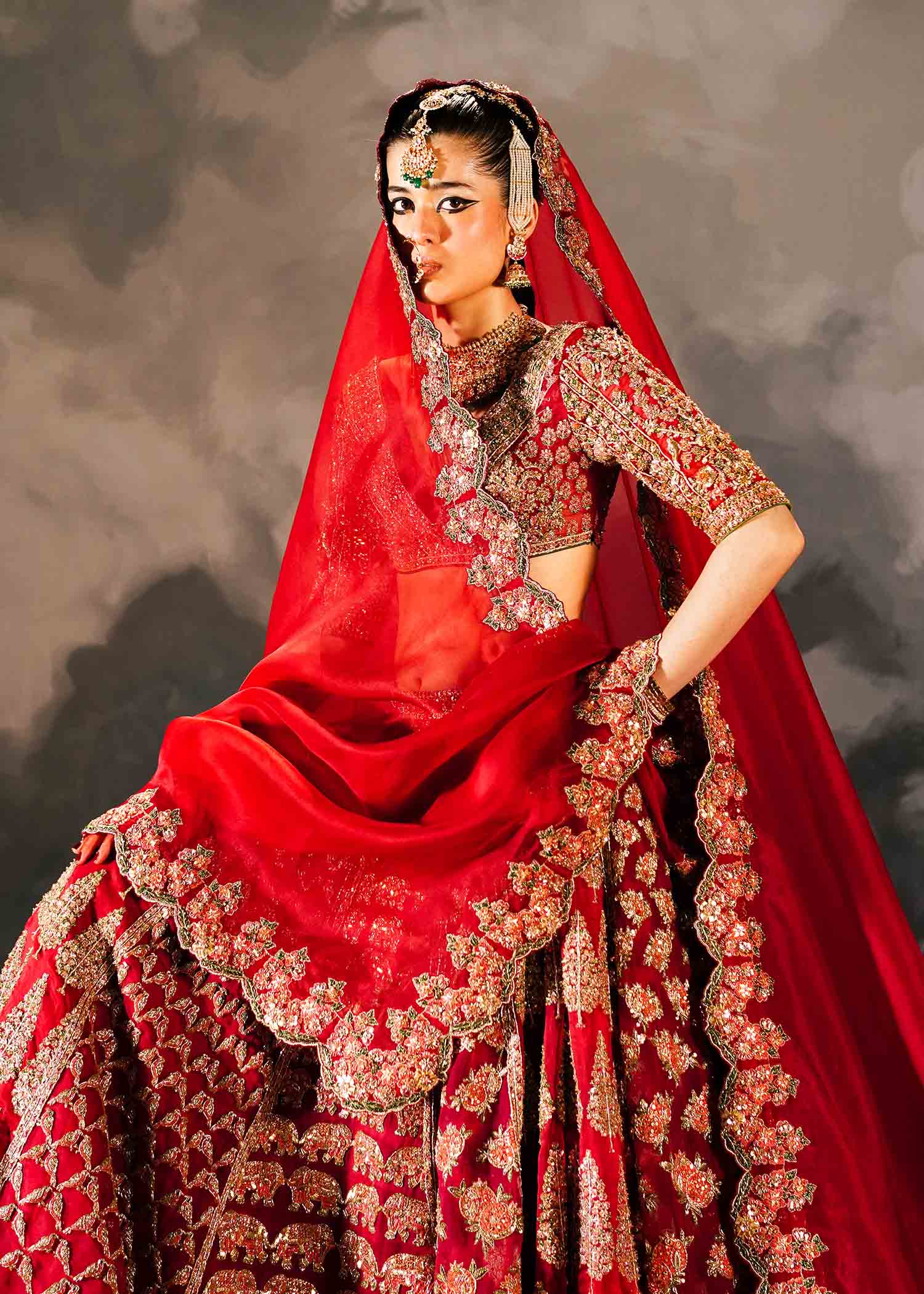 Red Embroidered Pure Organza Lehenga Choli (3-Piece) - Image 5