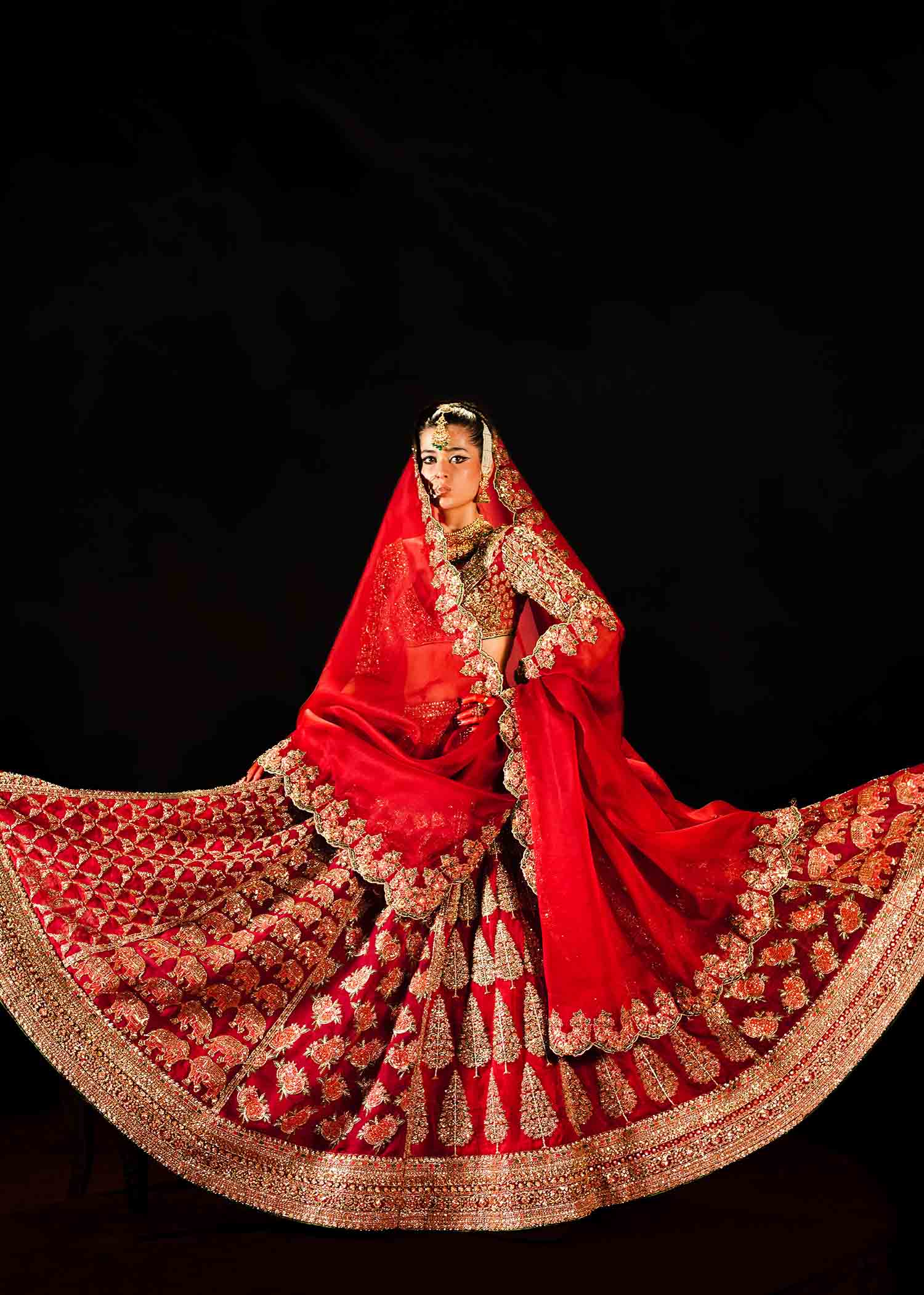 Red Embroidered Pure Organza Lehenga Choli (3-Piece) - Image 9