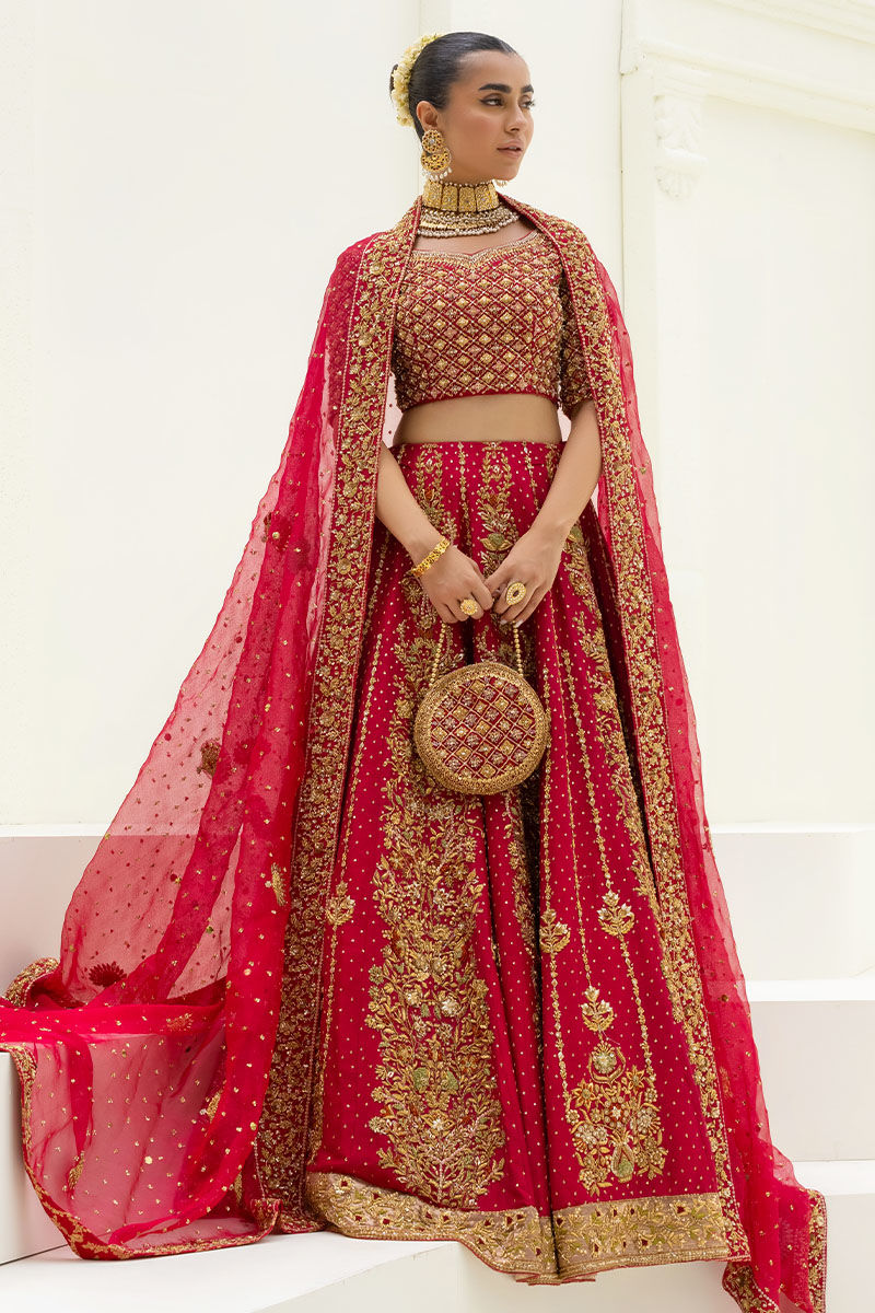 Red Embellished Raw Silk Lehenga Choli (3-Piece) - Image 1