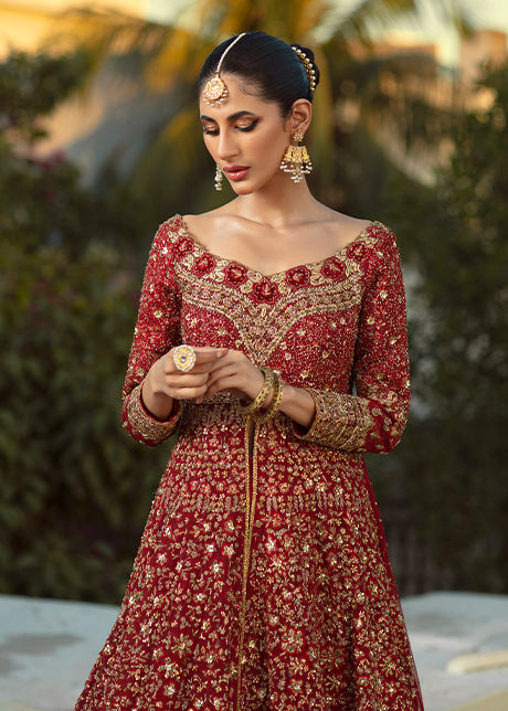 Pakistani Red & Gold Embroidered French Net Bridal Gown (3-Piece) - Image 5