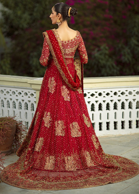 Pakistani Red & Gold Embroidered French Net Bridal Gown (3-Piece) - Image 3
