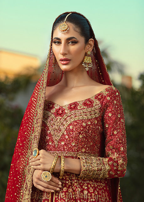 Pakistani Red & Gold Embroidered French Net Bridal Gown (3-Piece) - Image 4