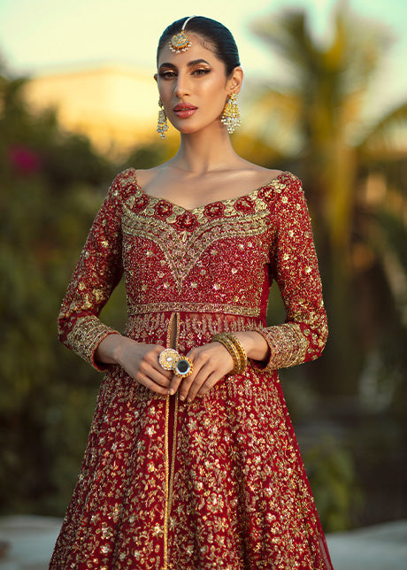 Pakistani Red & Gold Embroidered French Net Bridal Gown (3-Piece) - Image 7
