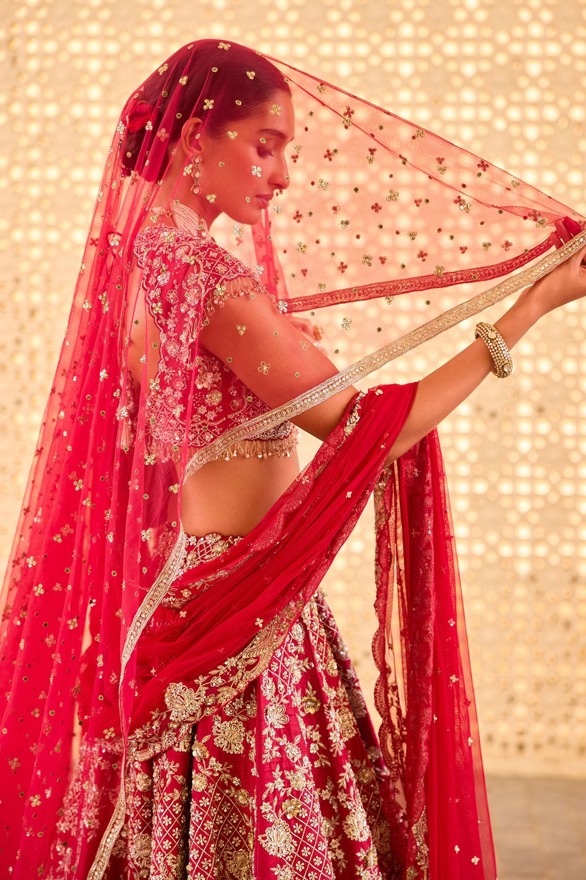 Indian Red Embroidered Raw Silk and Organza Bridal Lehenga (3-Piece) - Image 3