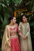 Scarlet Gota Embroidered Silk Net Choli & Organza Lehenga (3-Piece) - Image 11