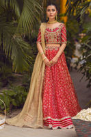 Scarlet Gota Embroidered Silk Net Choli & Organza Lehenga (3-Piece) - Image 2