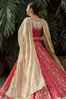 Scarlet Gota Embroidered Silk Net Choli & Organza Lehenga (3-Piece) - Image 4