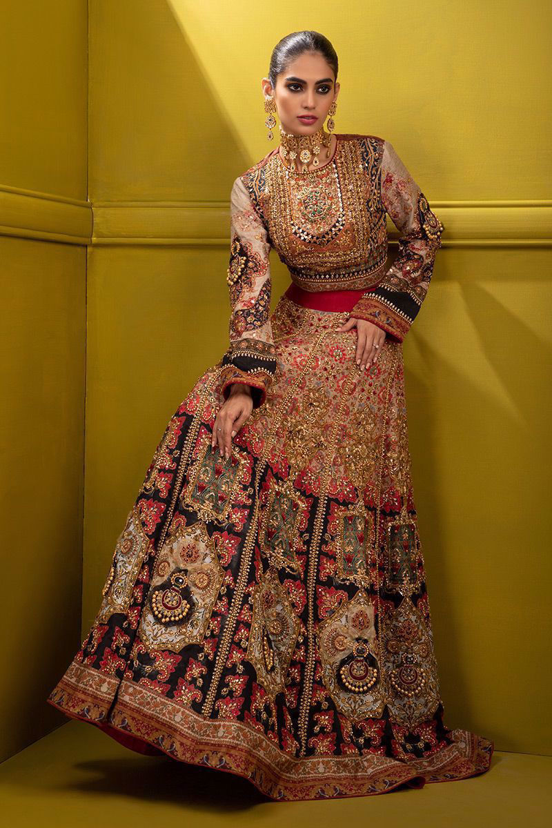 Pakistani Multi-Colour Kashmiri Embroidered Silk Lehenga Choli (3-Piece) - Image 2