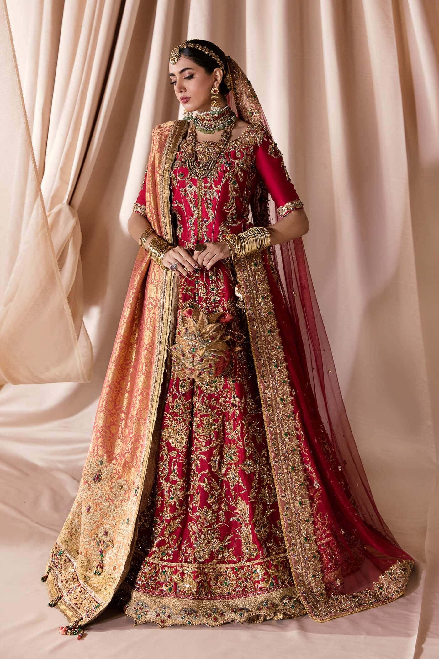 Pakistani Rich Red Zardozi Tissue Silk Lehenga Choli (3-Piece) - Image 1