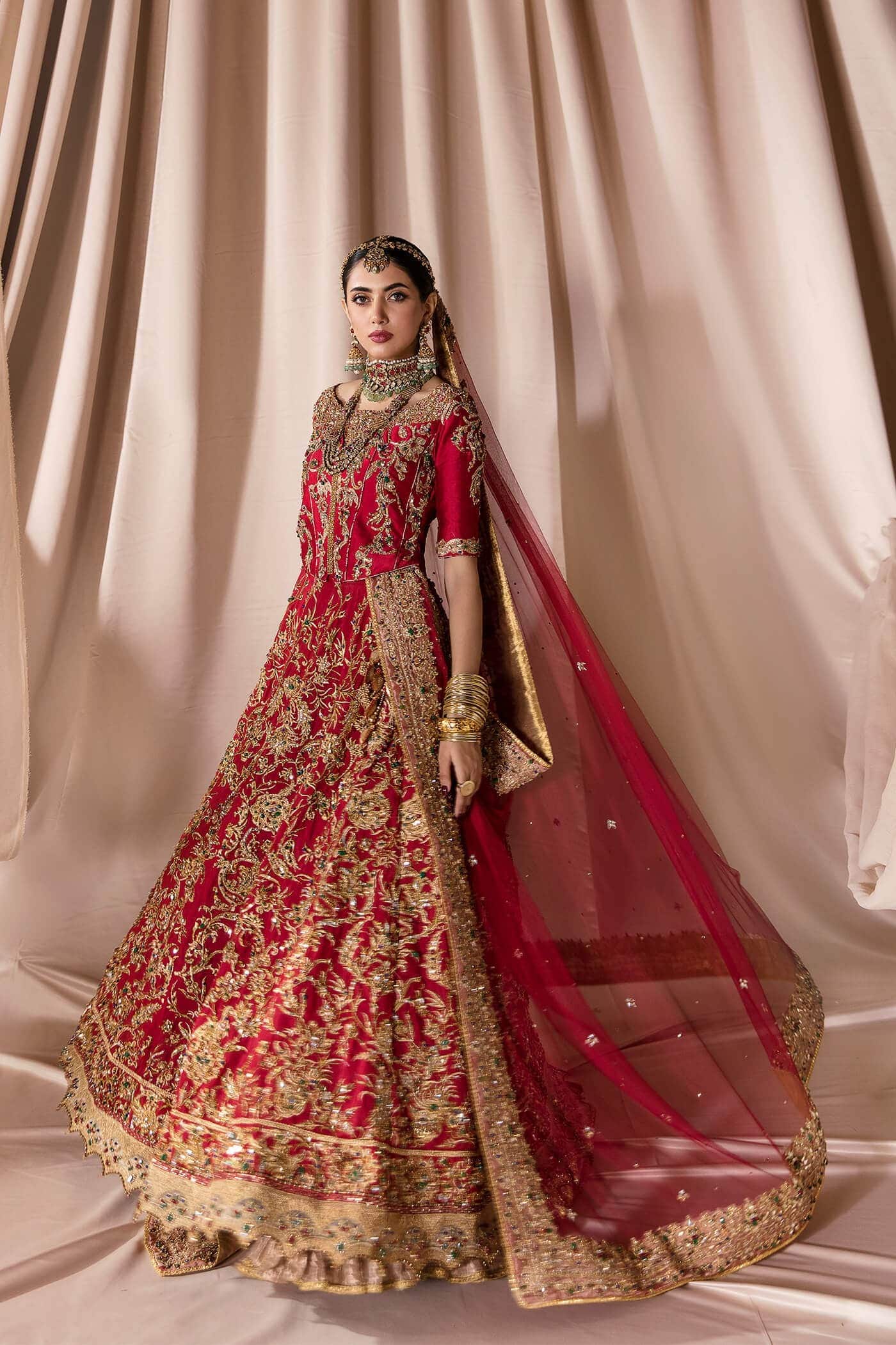Pakistani Rich Red Zardozi Tissue Silk Lehenga Choli (3-Piece) - Image 3