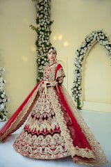 Pakistani Deep Red Embroidered Velvet Net Bridal Lehenga (3-Piece) - Image 4
