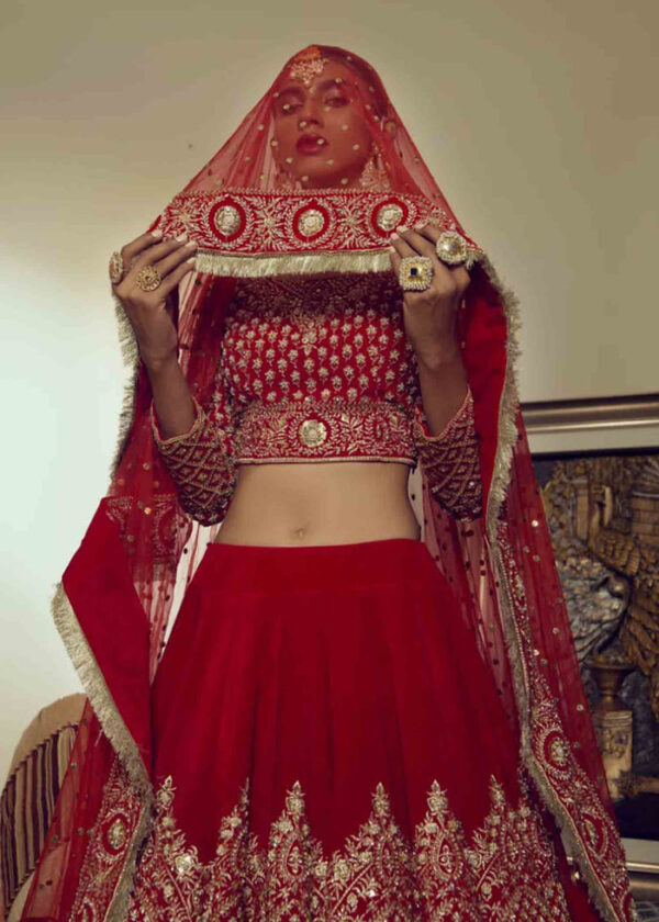 Pakistani Red Zardozi Velvet Lehenga Choli (3-Piece) - Image 3