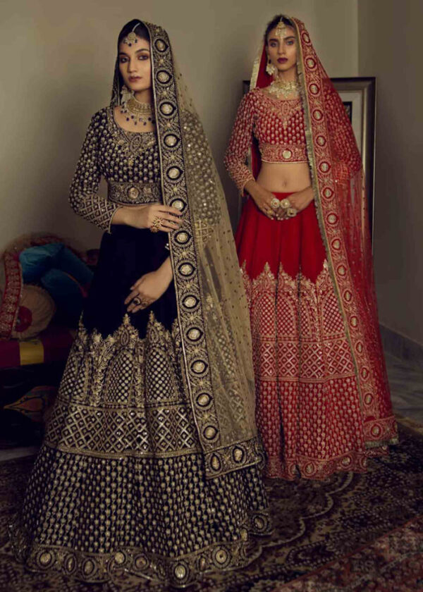 Pakistani Red Zardozi Velvet Lehenga Choli (3-Piece) - Image 4