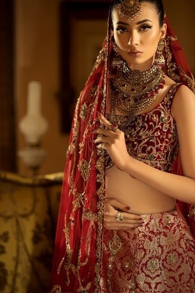 Pakistani Deep Red Zardozi Velvet & Kimkhab Lehenga Choli (3-Piece) - Image 4