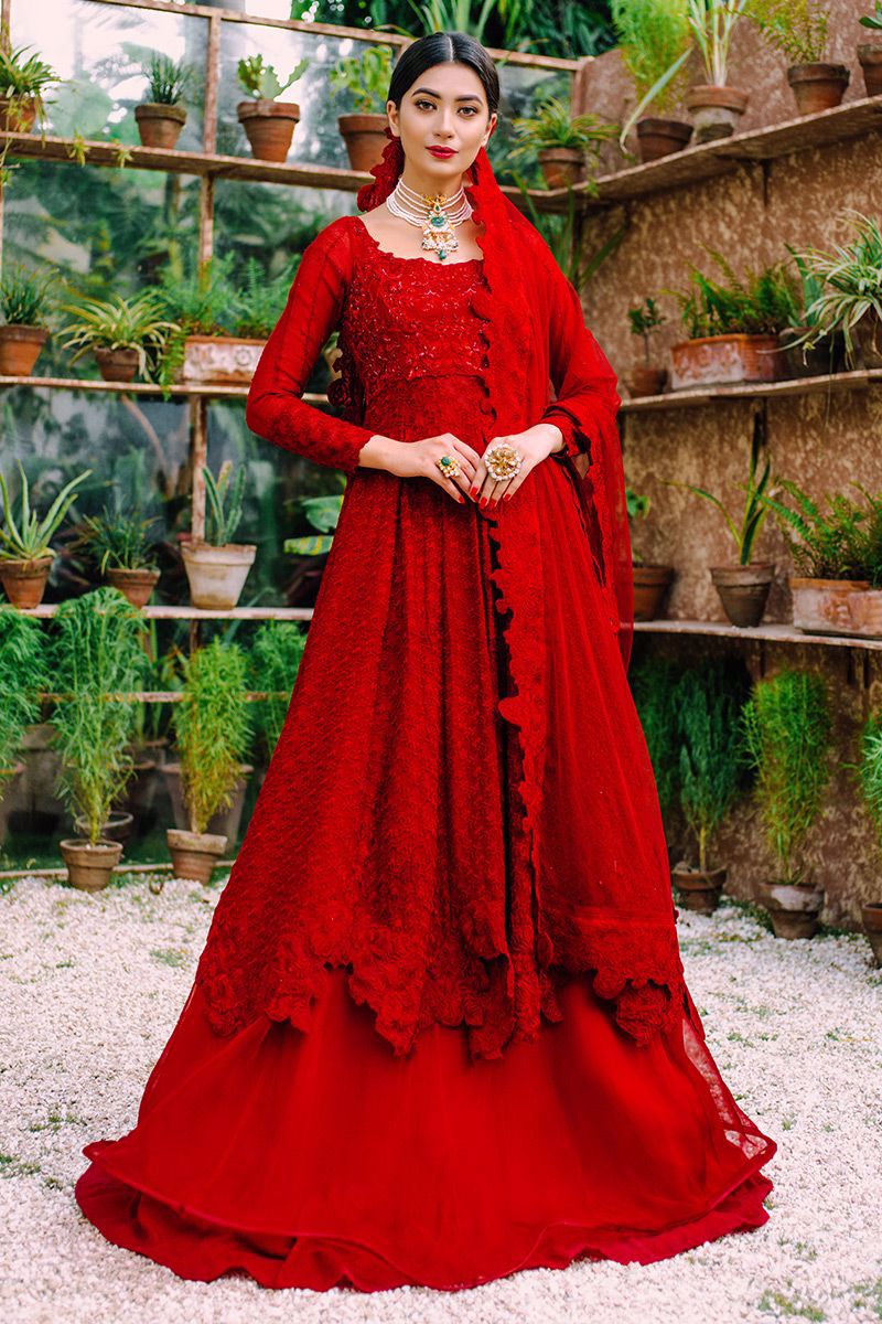 Red Hand-Embellished Cotton Net Pishwas (3-Piece) - Image 1