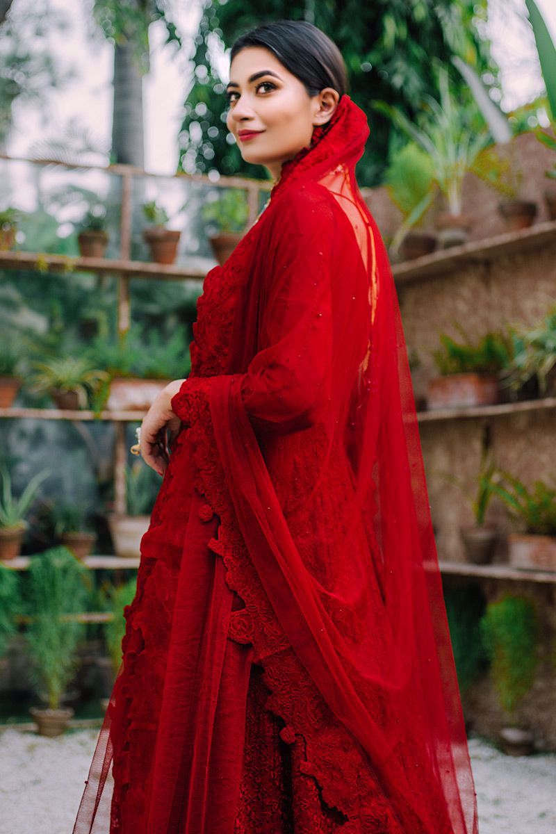 Red Hand-Embellished Cotton Net Pishwas (3-Piece) - Image 8