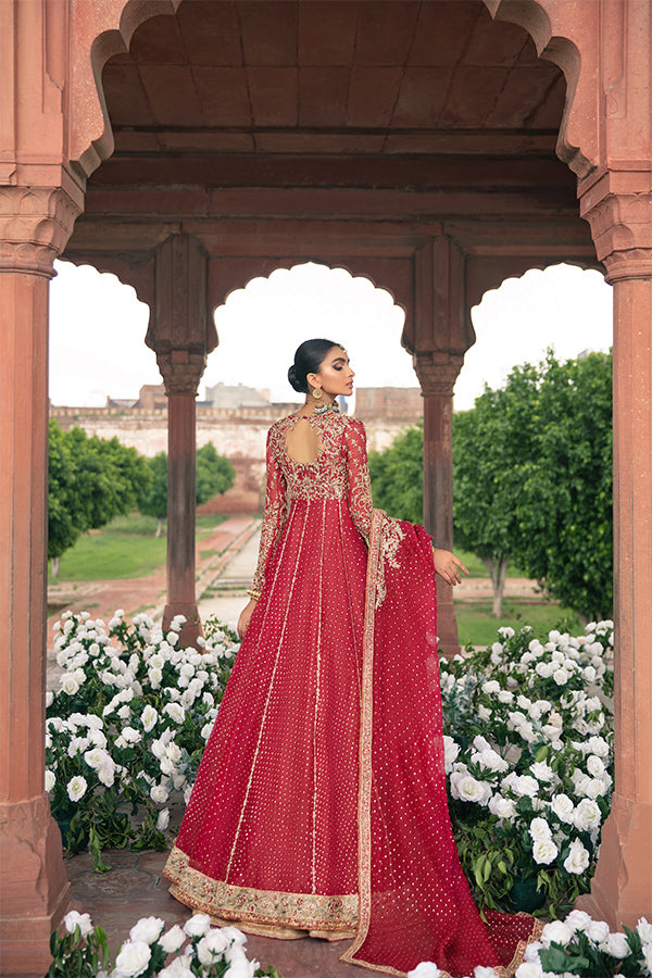 Indian Red Embellished Net Organza Pishwas Dress (3-Piece) - Image 2