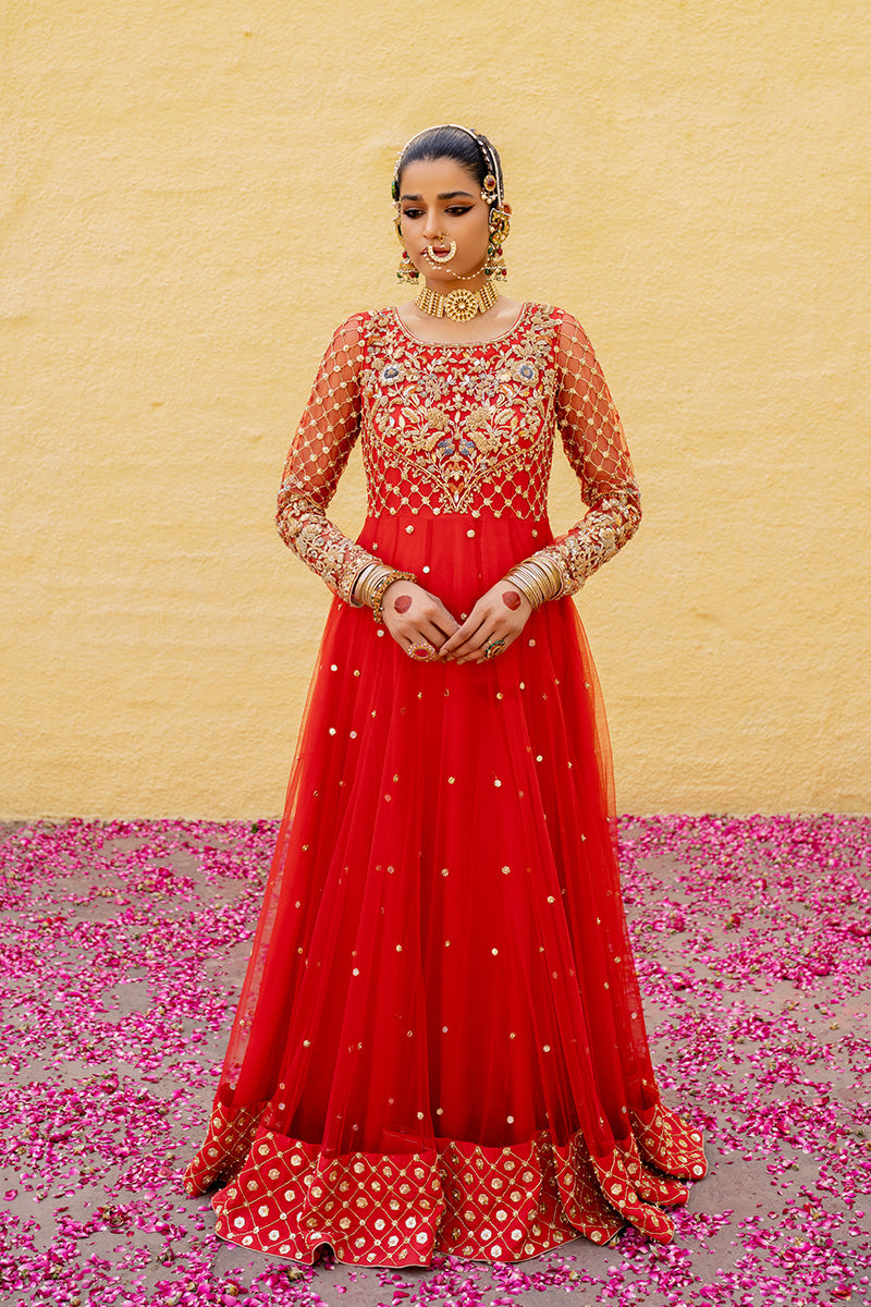 Red Embroidered Net & Organza Pishwas (2-Piece) - Image 1