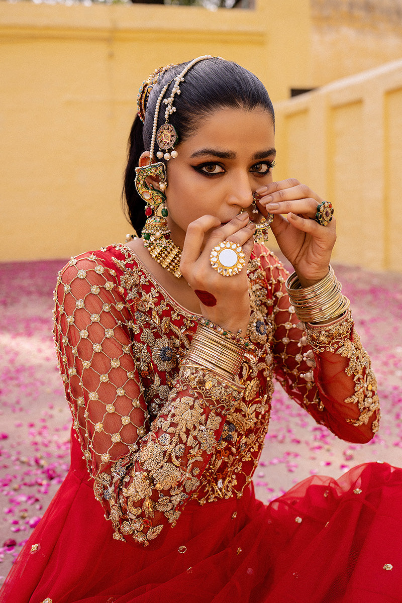 Red Embroidered Net & Organza Pishwas (2-Piece) - Image 3