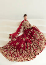 Indian Red Zardozi Net & Rawsilk Pishwas Dress (2-Piece) - Image 6