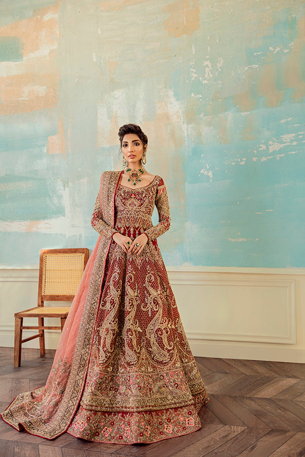 Red Embroidered Net Organza Pishwas Dress (3-Piece) - Image 1