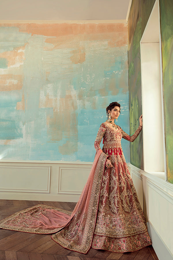 Red Embroidered Net Organza Pishwas Dress (3-Piece) - Image 4