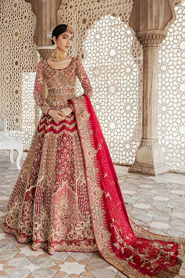 Red Embroidered Net Organza Pishwas Dress (3-Piece) - Image 3