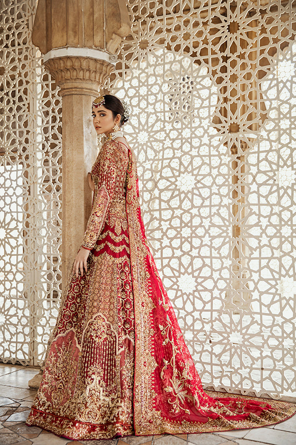 Red Embellished Net Organza Pishwas Dress (3-Piece) - Image 1